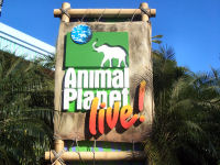 Universal Studios Florida - Animal Planet Live!